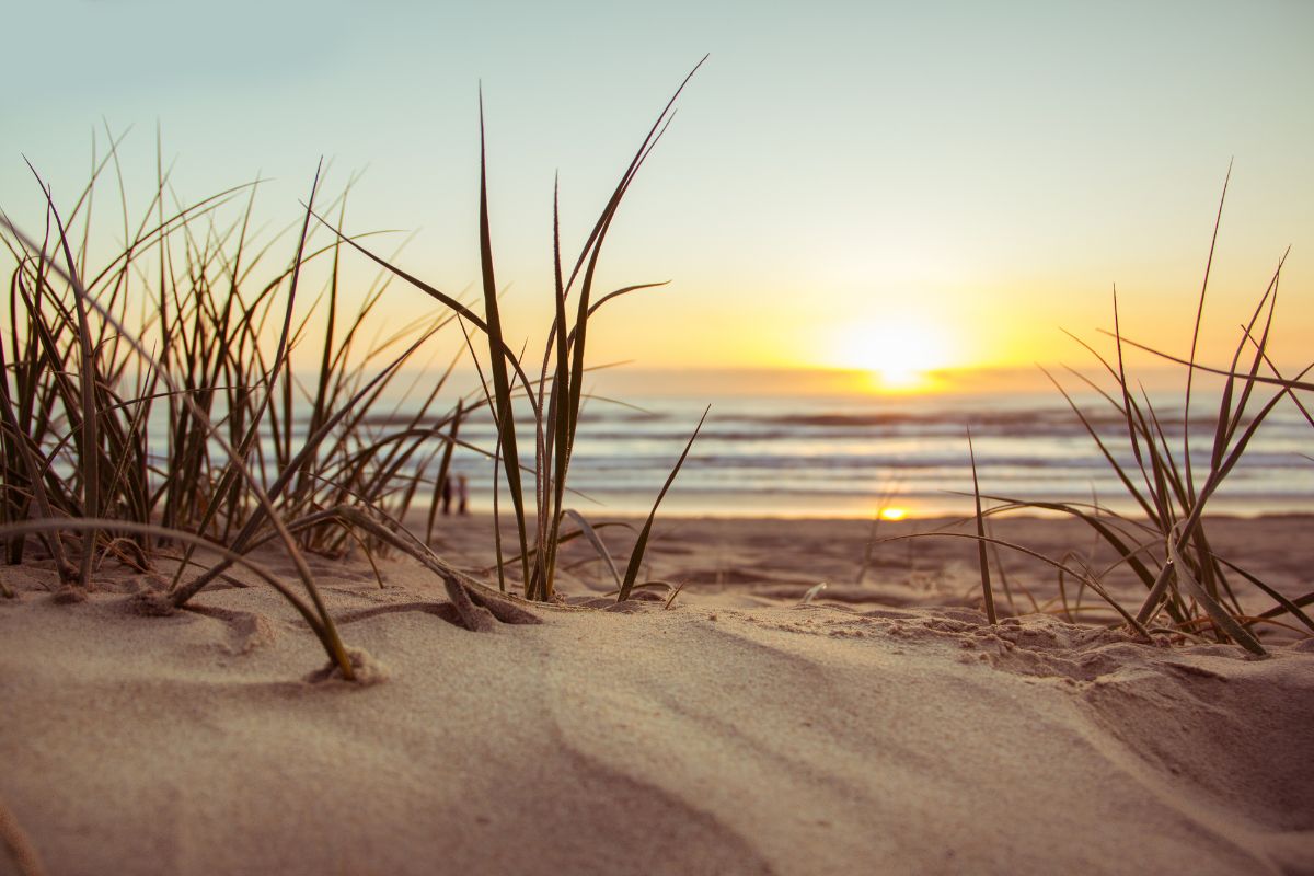 Probate Law Attorney In Ormond Beach